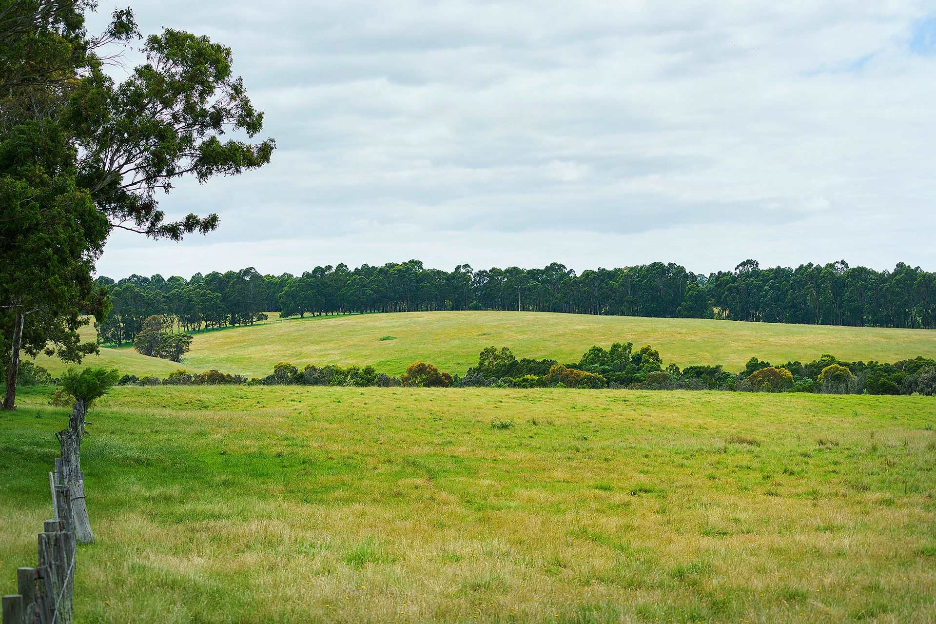 [Land for Sale] Nicholson River Estate, Nicholson OpenLot